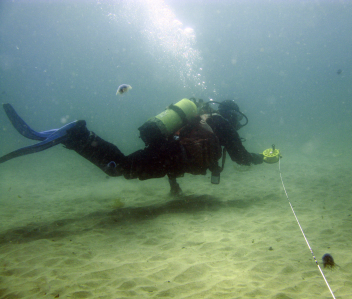 Diver Search