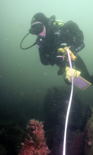Tape surveying