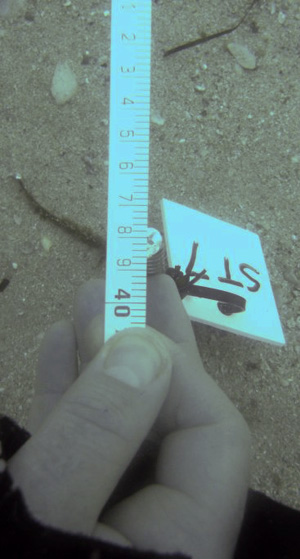 underwater survey