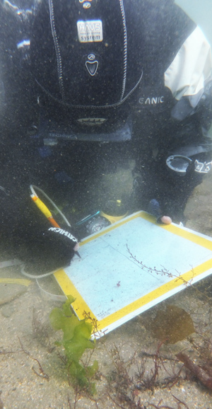 Recording underwater