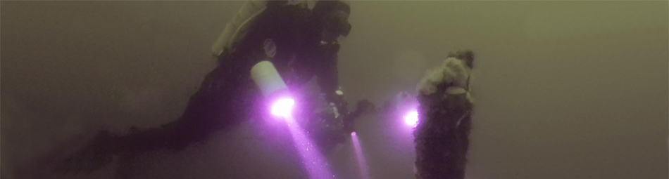 Underwater photography