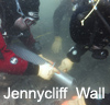 Jennycliff Wall